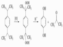 製備對苯二酚的化學反應式