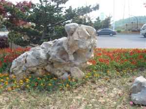 桂平太湖石