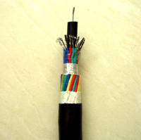 電纜