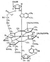 維生素B12 分子結構示意
