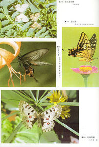 中國農業百科全書昆蟲卷