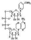煙醯胺腺嘌呤二核苷酸磷酸
