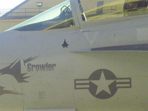 一架美軍EA-18G戰機在座艙下方的戰果區塗有一架F-22的標誌