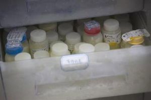 廣州母乳庫的冰櫃里裝滿了愛心母乳