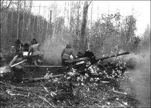 中國炮兵在打擊入侵的蘇軍