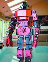 安迪·魯賓製作的機器人