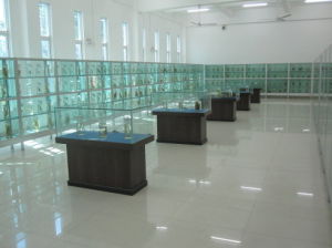 廣東海洋大學水生博物館
