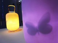蝴蝶燈籠