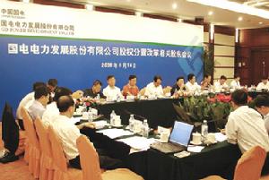 2006年8月，國電電力股權分置改革順利完成。中國國電集團公司確立了以國電電力為平台“整體改制、分步實施”的戰略，為國電電力帶來了前所未有的發展機遇。