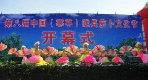 中國（寒亭）濰縣蘿蔔文化節