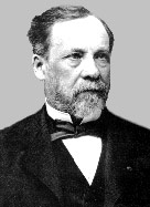 （圖）巴斯德（Pasteur）