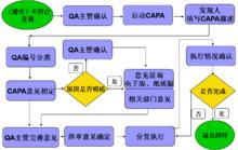 CAPA流程圖