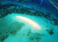 澳大利亞大堡礁