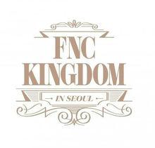 FNC家族演唱會