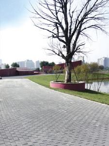 西寧朝陽公園
