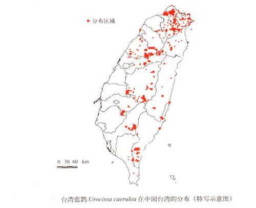 台灣藍鵲分布圖