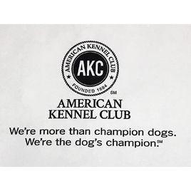 美國養犬俱樂部