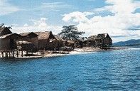 棉蘭老島