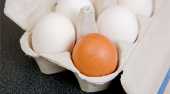 一天到底能吃幾顆蛋？