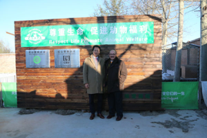 2015年11月26日，FCI主席Rafael de Santiago先生參觀CKU北京辦公室及中國小動物保護協會流浪動物保護基地