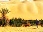 （圖）利比亞沙漠