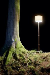 大樹發電已不再是夢想，雖然其能量尚無法點亮一盞燈