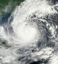 第21號強颱風“蝴蝶”衛星雲圖