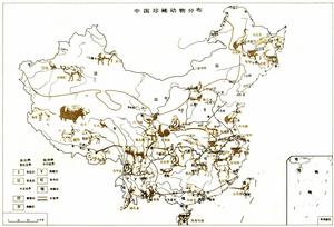 中國動物地理