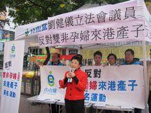 香港市民反對雙非孕婦的行動相冊