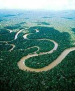亞馬遜叢林