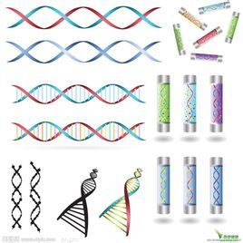 DNA指紋圖譜