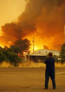 美國高溫致森林大火 19名消防員喪生