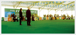 2006年4月22-23日，CKU首場全犬種冠軍展舉辦