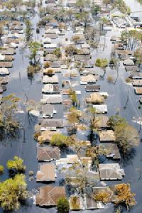 “卡特里娜”颶風造成約25萬美國人被迫逃離家園。