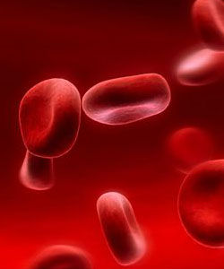 平均紅細胞體積