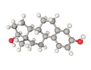 雌激素分子結構