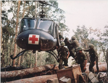 越南戰爭中美軍的損失