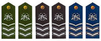 陸海空軍五級士官肩章(1999—2009)
