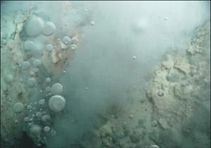 海底”黑煙囪“是20世紀海洋科學最重大發現