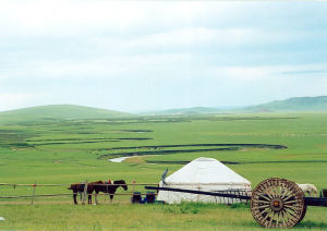 蒙古 牧畜業