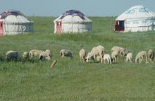 內蒙古草原