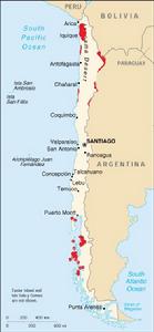 智利水獺