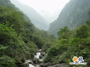 四川臥龍大熊貓自然保護區