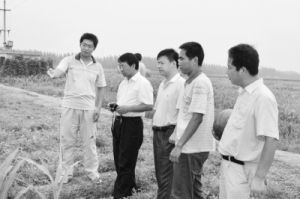 張福鎖教授（左二）在田間了解小麥-西瓜-玉米體系特點