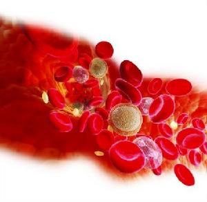 血紅蛋白細胞