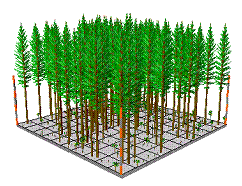 （圖）森林模型的建立