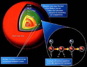 （圖）紅超巨星的剖面圖顯示出核合成和元素的形成