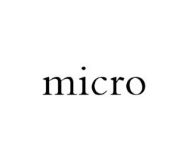 micro[單詞]