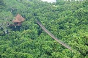 熱帶季雨林