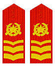 武警五級士官肩章(1999—2009)